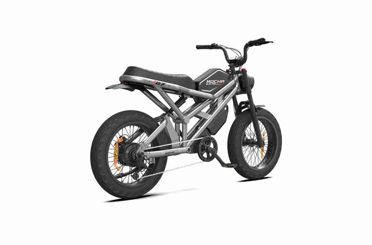 moped ebike wholesale