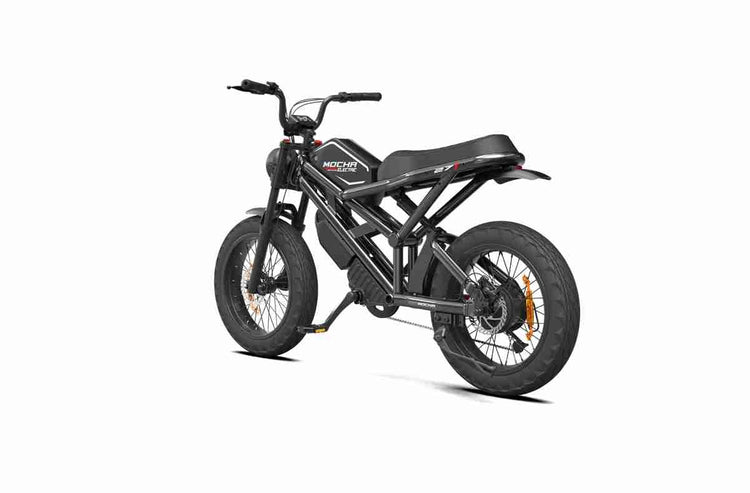 the electric bike company wholesale