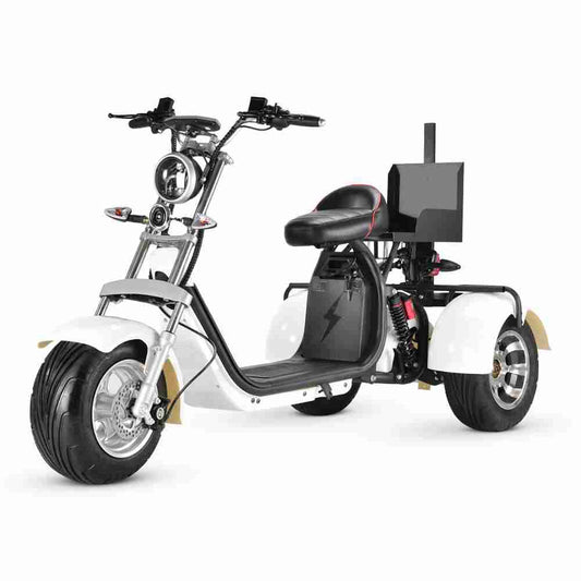 three wheel electric scooter Rooder r804t8 golf 2000w 40ah US EU