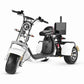 three wheel electric scooter Rooder r804t8 golf 2000w 40ah US EU