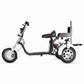 three wheel electric scooter Rooder r804t8 golf 2000w 40ah US EU