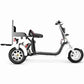 three wheel electric scooter Rooder r804t8 golf 2000w 40ah US EU