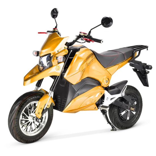 Electric Motorcycle Rooder r804-m21 for sale
