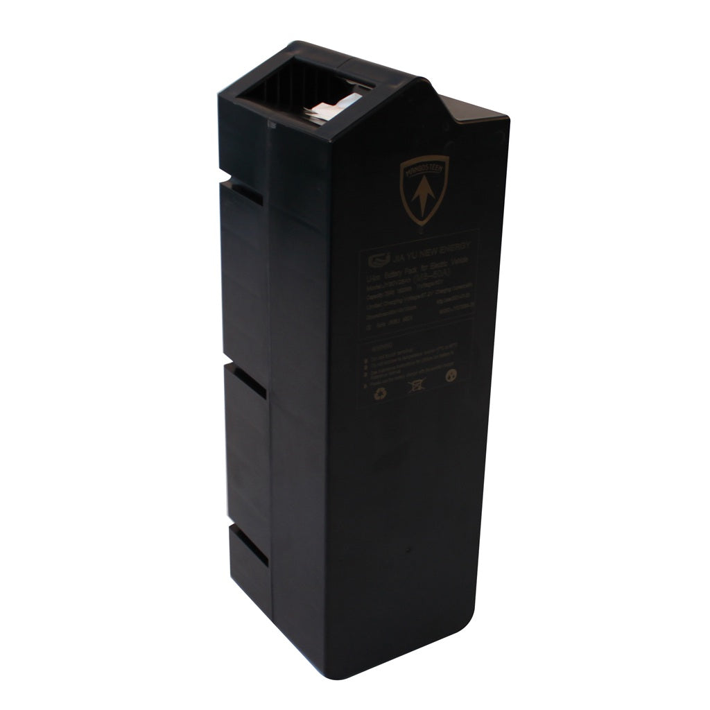 Removable Battery For Electric Scooter Rooder Mangosteen Citycoco m1p m2 m8