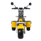 Rooder 3 wheel electric scooter Road legal EU warehouse