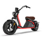 Rooder Alligator citycoco chopper M2 3000w EU