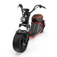 Rooder Alligator citycoco chopper M2 3000w EU