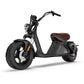 Rooder Alligator citycoco chopper M2 3000w EU