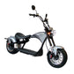 Rooder Arrow m1p citycoco echopper roller scooter EU