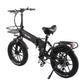 Rooder Dual Motor Electric Cycle for sale