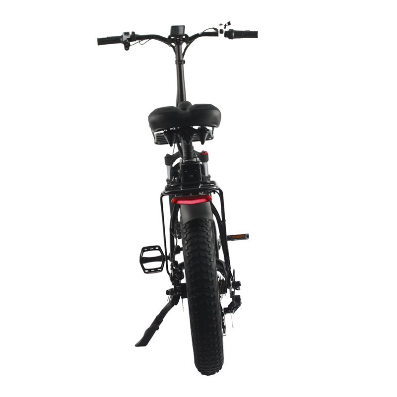 Rooder Electric Bicycle 48v 750w MotorFor Sale