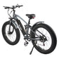 Rooder Electric Moutain Bike 48v 15ah For Sale