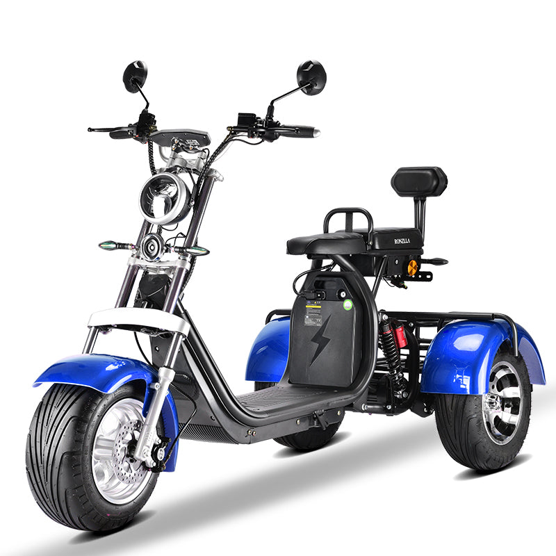 Rooder Mangosteen m1 m1p citycoco chopper scooter battery