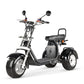 Rooder Trike 4000w 40ah three wheel electric scooter for sale
