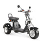 Rooder Trike 4000w 40ah three wheel electric scooter for sale