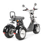 Rooder Trike 4000w 40ah three wheel electric scooter for sale