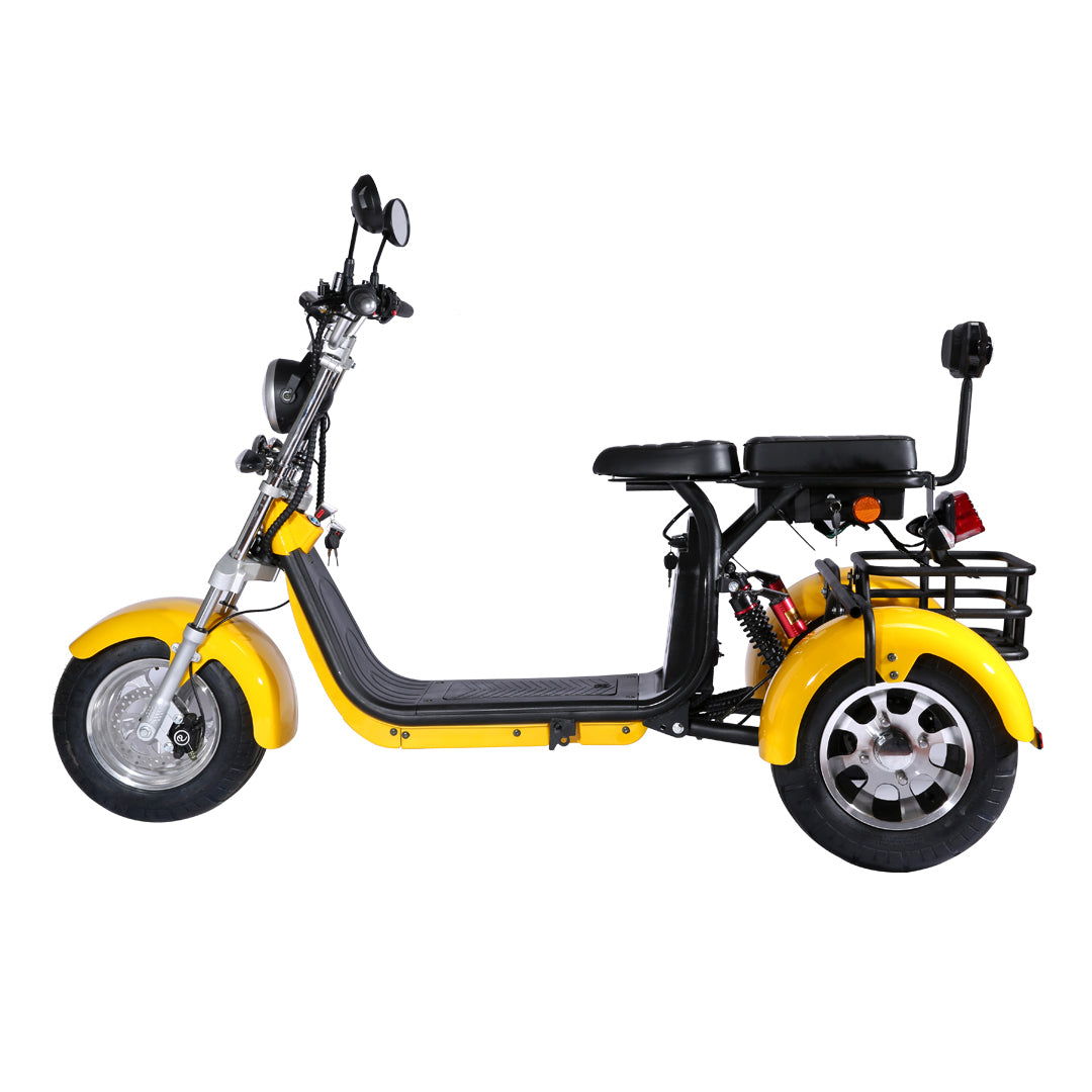 Rooder citycoco tricycle scooter ebike 2000w 40ah US stock