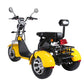Rooder citycoco tricycle scooter ebike 2000w 40ah US stock