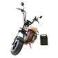 Rooder Alligator citycoco chopper M2 3000w EU