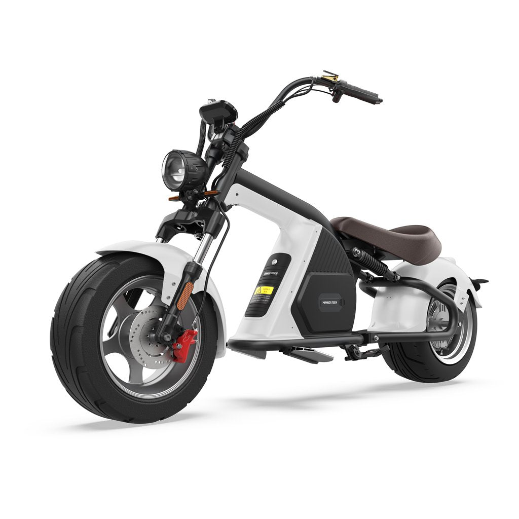 citycoco electric scooter 