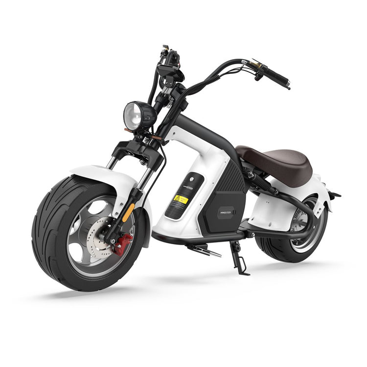 citycoco electric scooter 