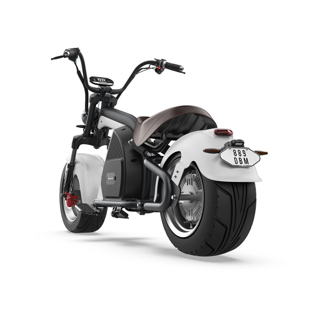 citycoco electric scooter 