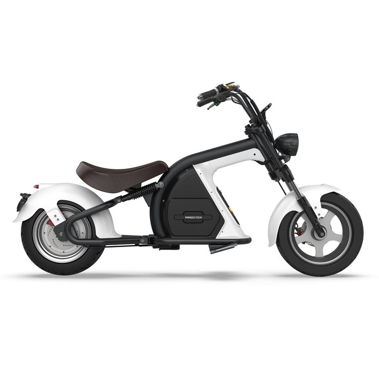 citycoco electric scooter 