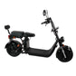 city coco roller Rooder echopper electric scooter r804s