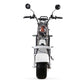 city roller Rooder citycoco electric scooter r804d2 EEC COC