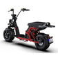 rooder citycoco electric scooter Larsky 2000w