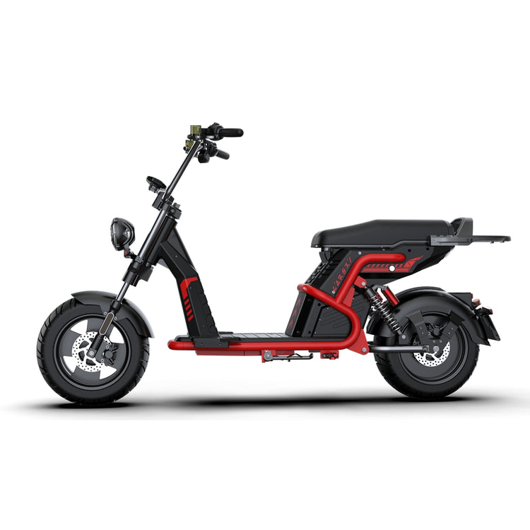 rooder citycoco electric scooter Larsky 2000w